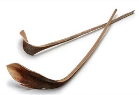 Schoenlepel blad