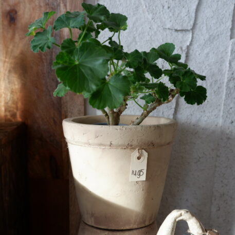 Bloempot Samos - Afbeelding 5