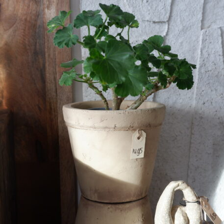 bloempot samos hoog 16.5 cm diameter 18 cm beige ib-laursen flowerpot samos1