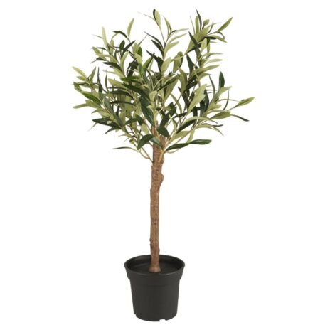 ib-laursen-olijfboom-75-cm-hoog-ib-laursen-olive-tree-in-pot