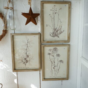 blank houten lijst met prent van plant 4 soorten hoog 37 cm breed 27 cm diep 1.5 cm ib laursen picture with plant motifs in wooden frame 10
