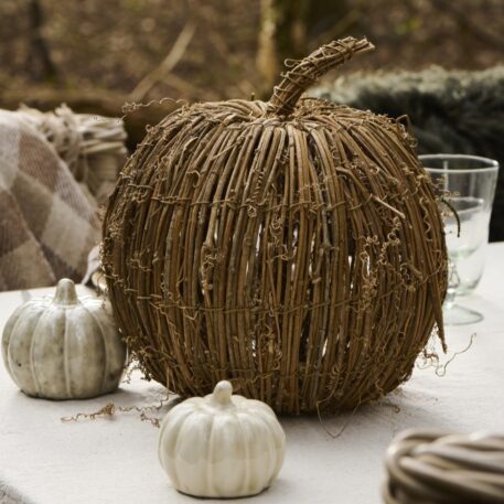 Deco pompoen branches XL - Afbeelding 7