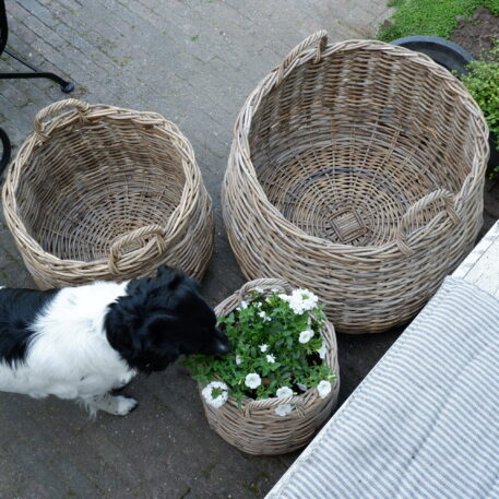 grijs rotan mand met grepen bolle buik naar boven iets taps 3 maten plantenmand round basket koboo grey diameter 33 cm 50 cm en 69 cm5