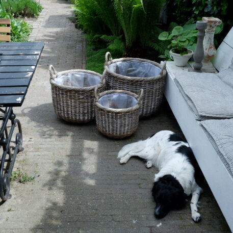 grijs rotan mand met grepen rond en plastic voering 3 maten plantenmand round planter koboo grey diameter 38 cm 48 cm en 55 cm8