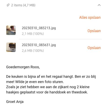 Wandrek Truckwood 2 planken en 4 haken - Afbeelding 13