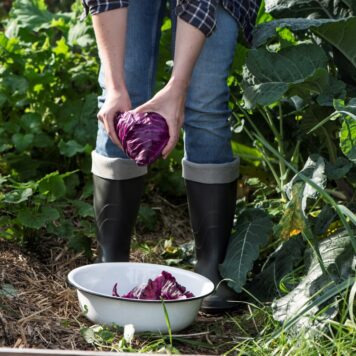 ib laursen wit emaille schaal hoog 11.5 cm diameter 36 cm washstand dish enamel2a