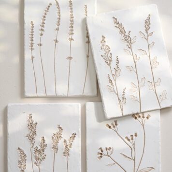 botanische afbeelding in klei beige 4 soorten ib-laursen picture with flower imprint 4 assorti plaster11