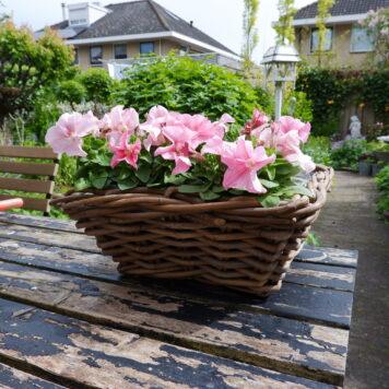 grijs rotan mand met grepen vierkant iets taps en plastic voering plantenmand planter koboo grey breed 40 cm diep 40 cm hoog 17 cm