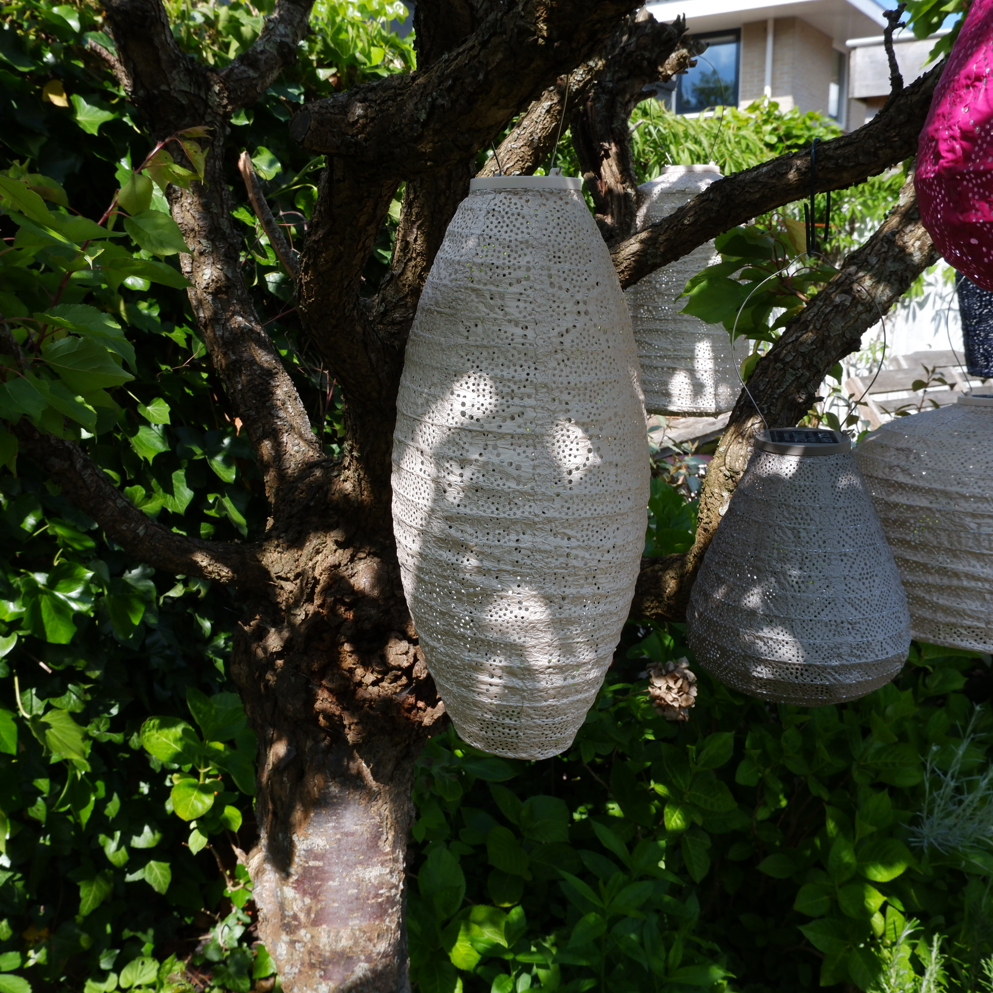 Long oval solar lampion Ø20 cm soft blush - Afbeelding 3