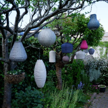 lumiz solar lampion tulip taupe round 30 licht taupe long oval cylinder arch soft blush tulip fuchsia arch future dusk bulb donker groen