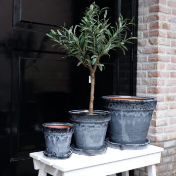 bloempot met schotel grijs zwart set van 3 glazed pot with dish grey black diameter 17 cm 23.5 cm en 33.5 cm1