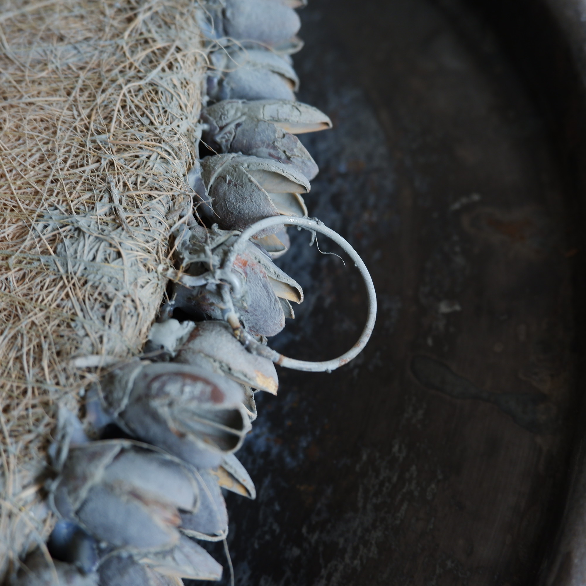 bakuli krans diameter 40 tot 45 cm grijs bakuli wreath grey3